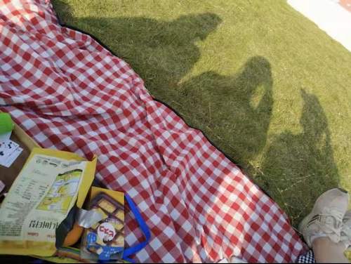 46016bd3b09e5dad5af7b96d48e5a60